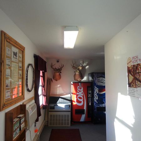 Tipperary Lodge Buffalo Esterno foto