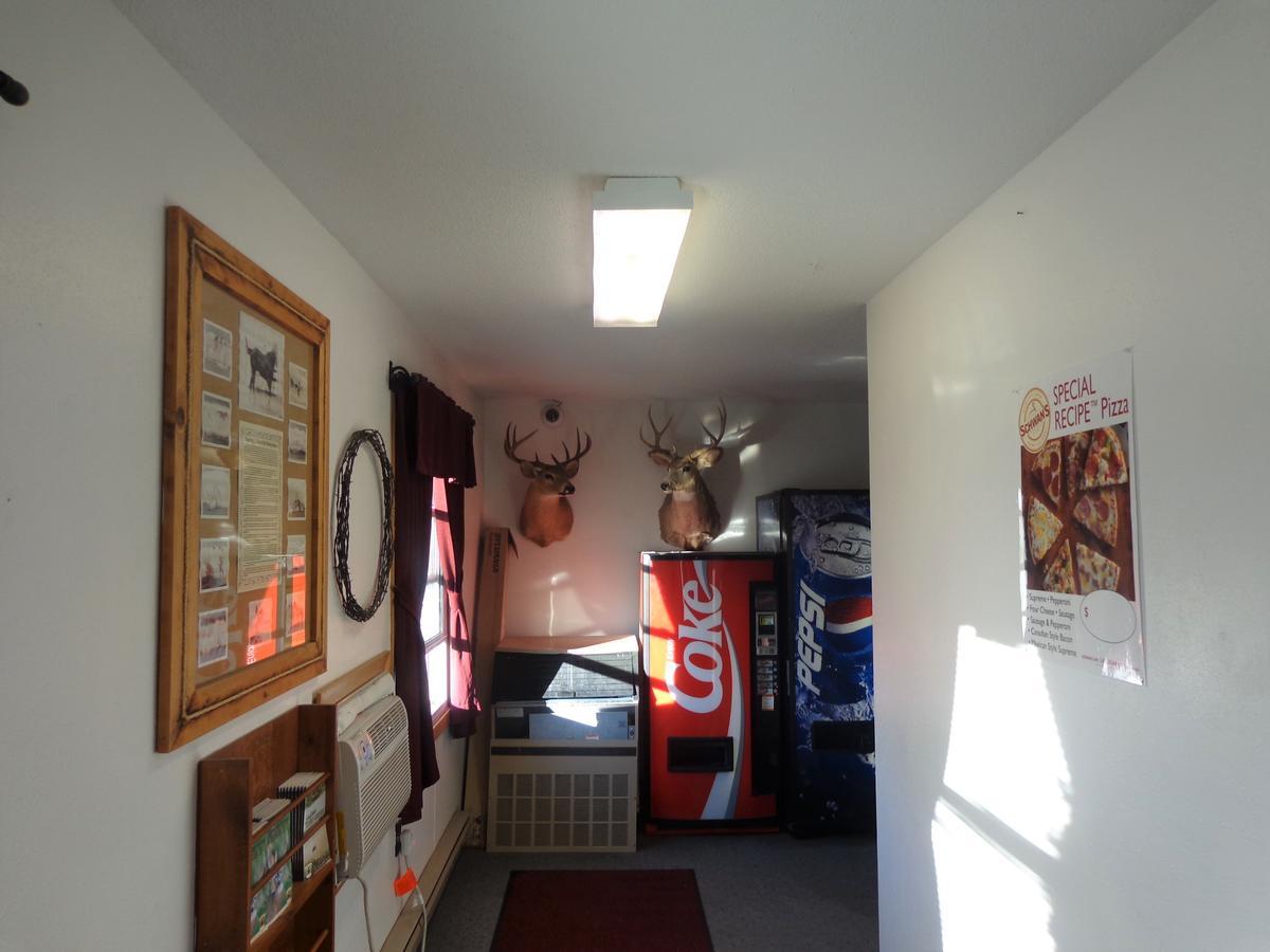 Tipperary Lodge Buffalo Esterno foto